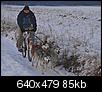 Photos of People-dog-sledding-modified.jpg