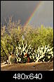 Tucson Photos.-img_6149.jpg