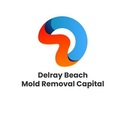 Delray Beach Mold dremoval Capital
