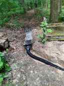 PGH French Drains