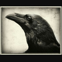 Nevermore Consulting